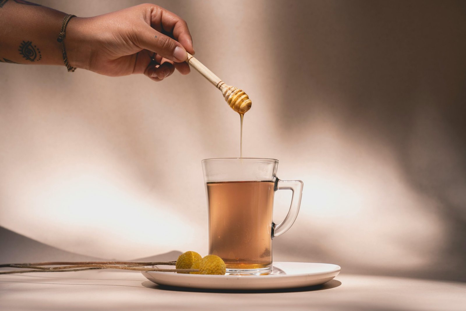 sencha tea benefits